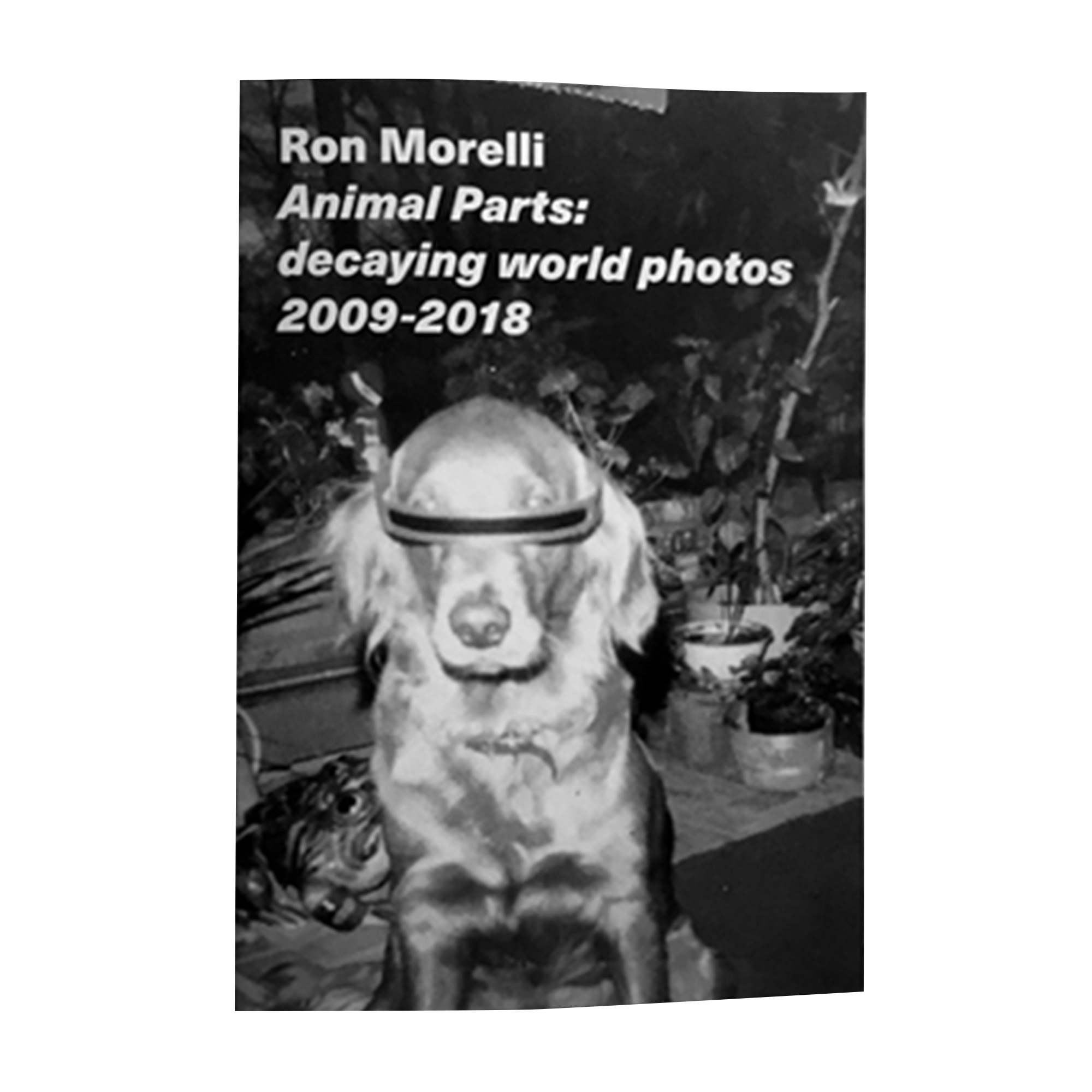 Ron Morelli - Animal Parts: decaying world photos 2009-2018