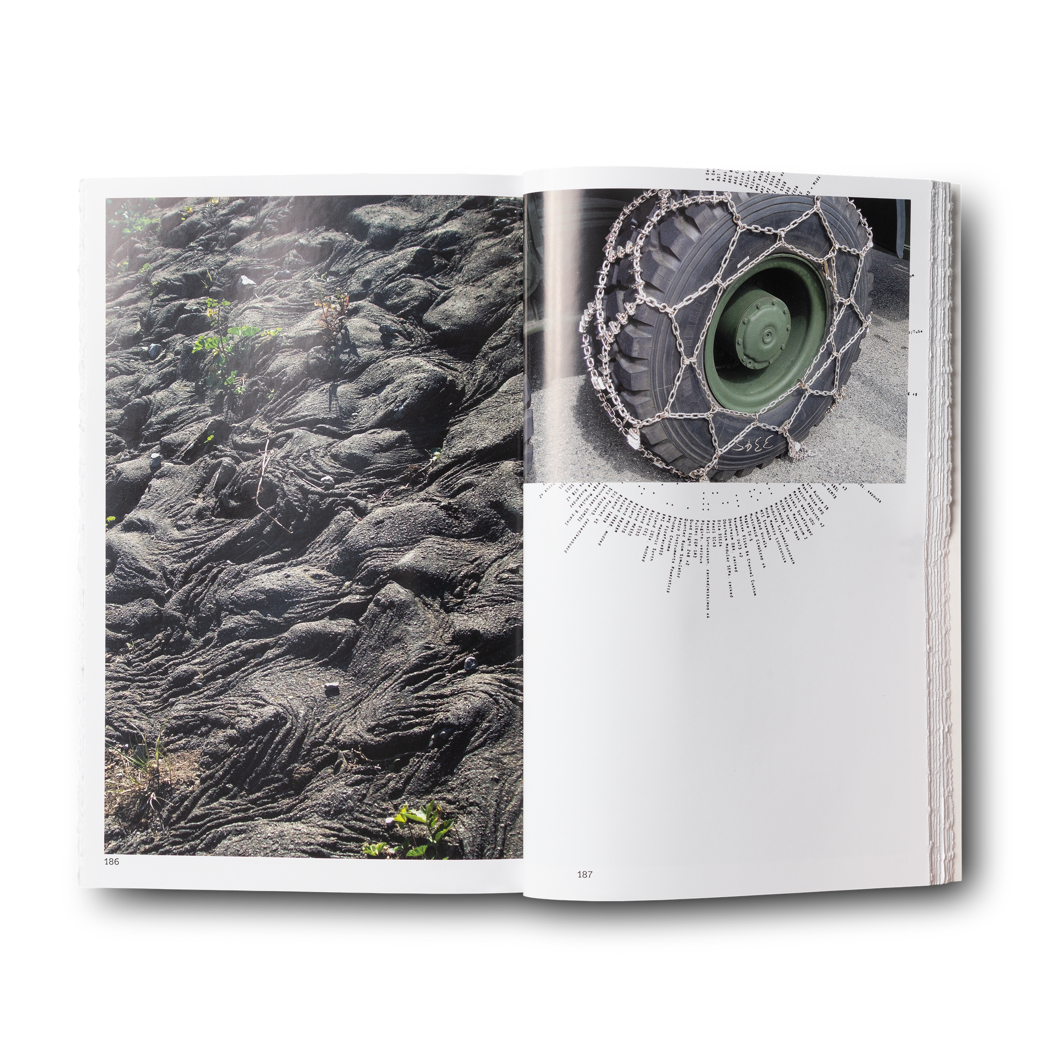 SEDIMENTAL WORKS CARHARTT アーカイブ＆アートブック Sedimental Works – VERY SPECIAL
