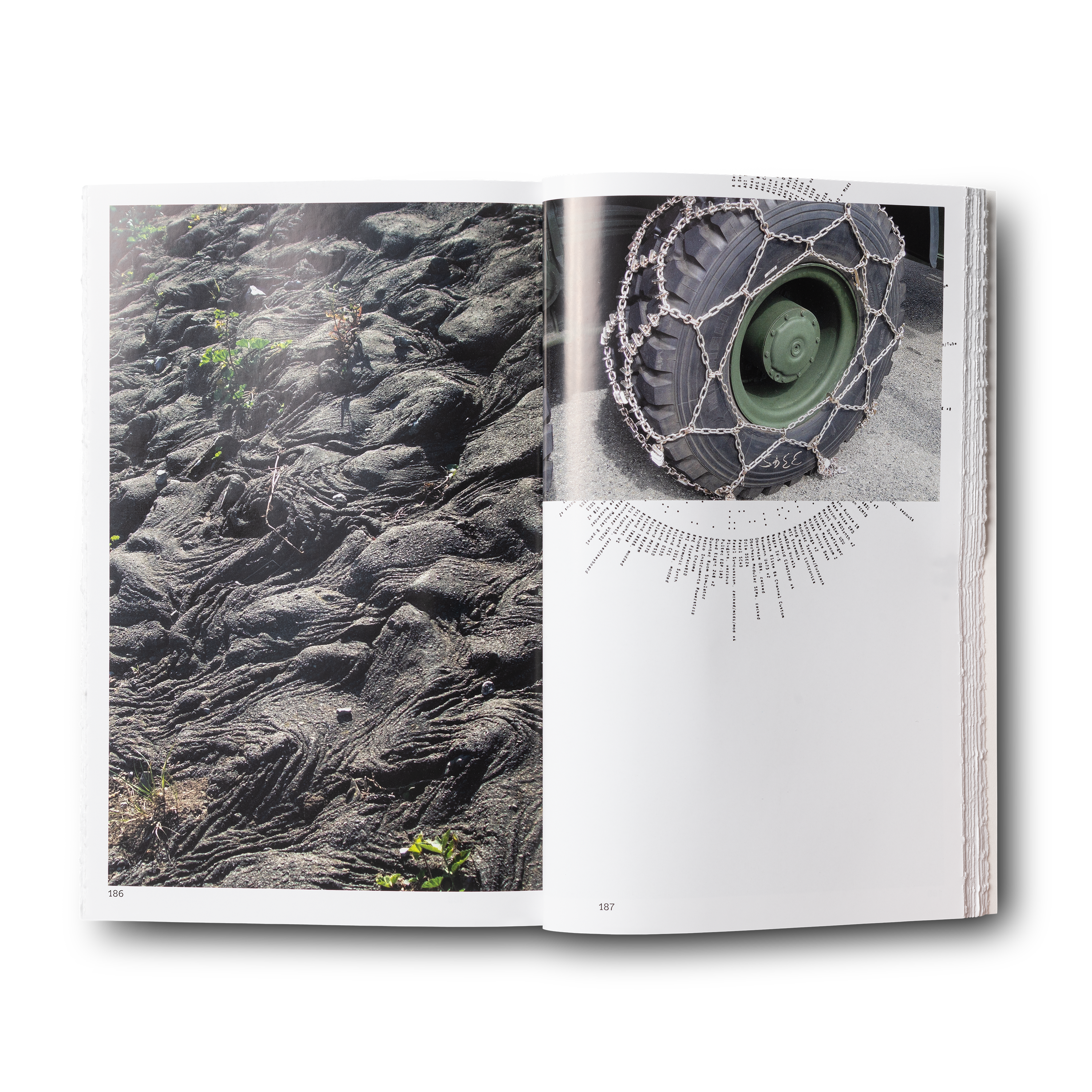 SEDIMENTAL WORKS CARHARTT アーカイブ＆アートブック Sedimental Works – VERY SPECIAL