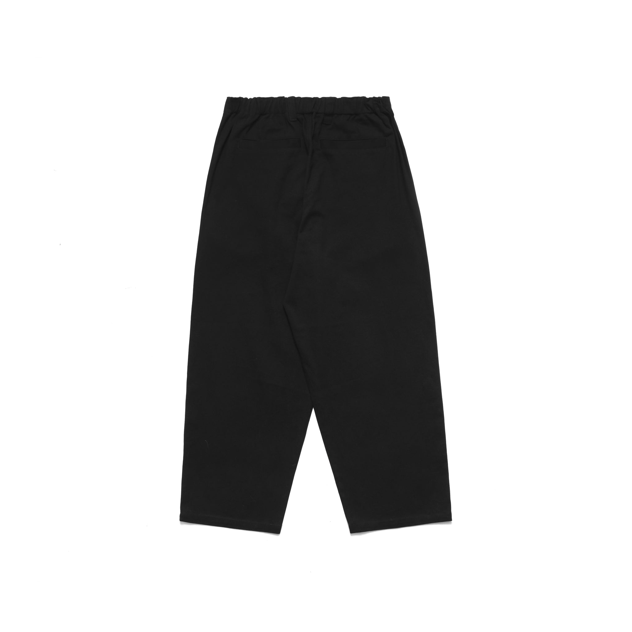 Elastic Waist Baggy Pant