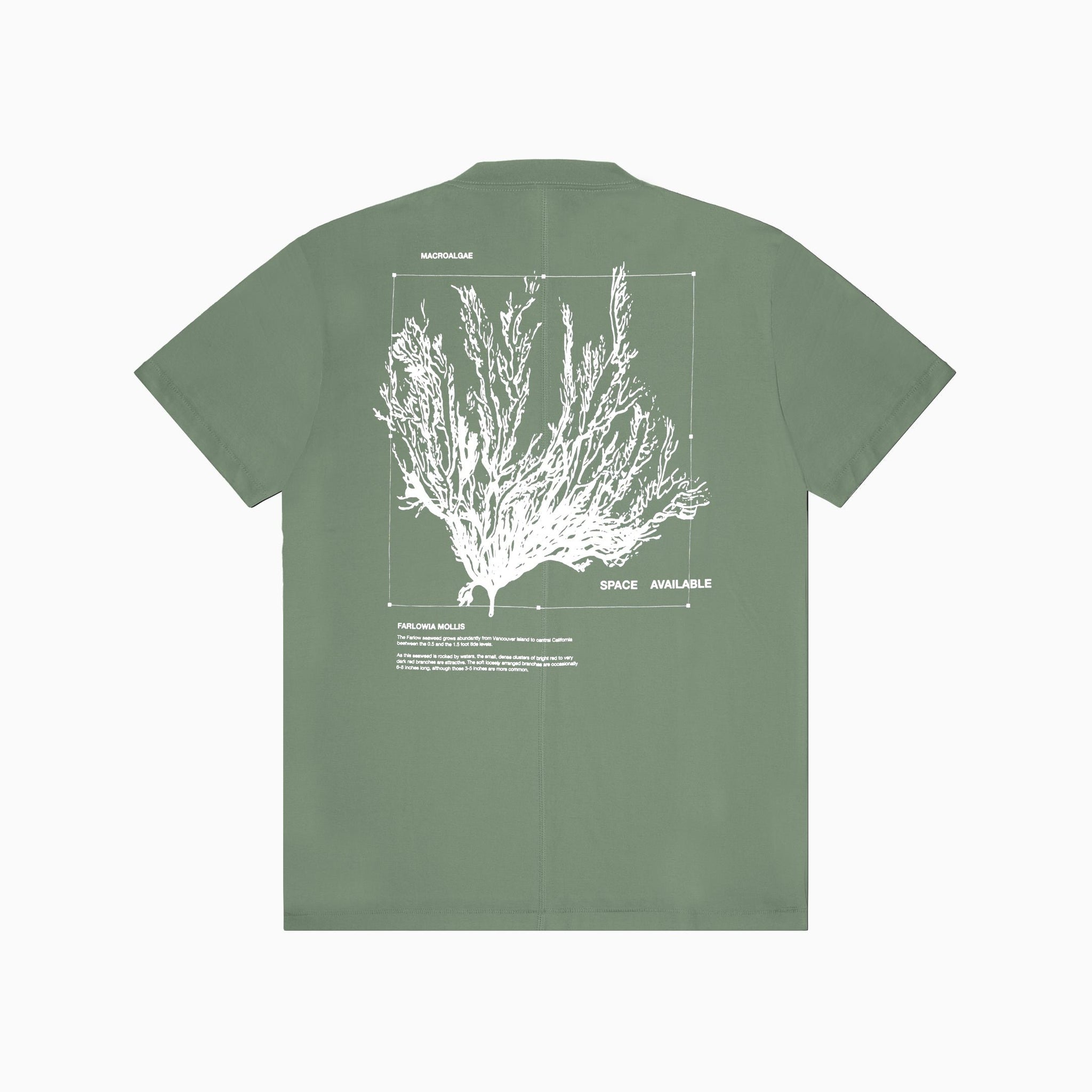 Macroalgae Study T-Shirt