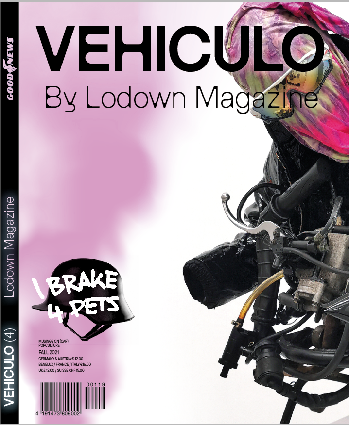 Lodown Vehiculo (4)