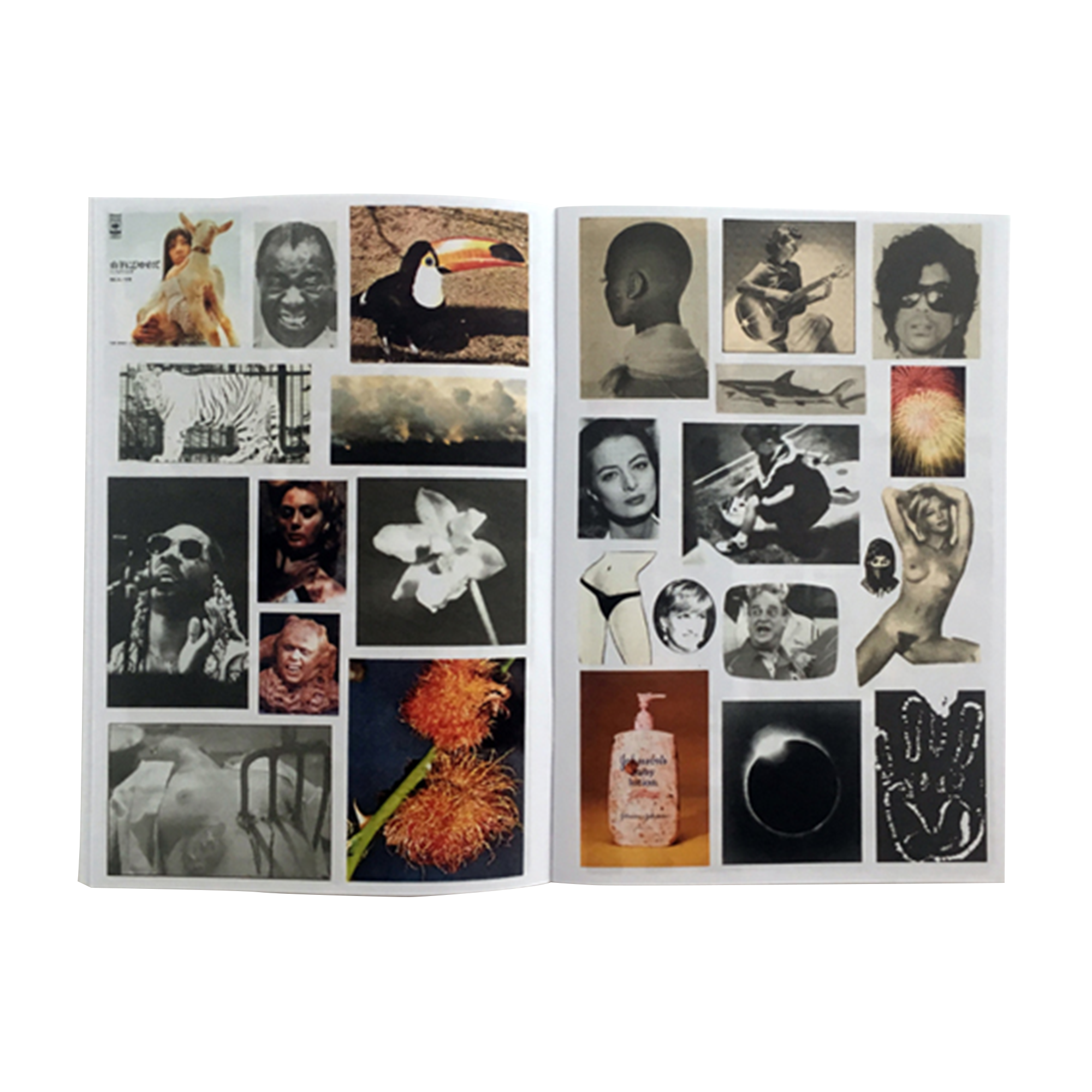 Dave - FUCK THIS LIFE – VERY SPECIAL Dave - FUCK THIS LIFE – VERY SPECIAL