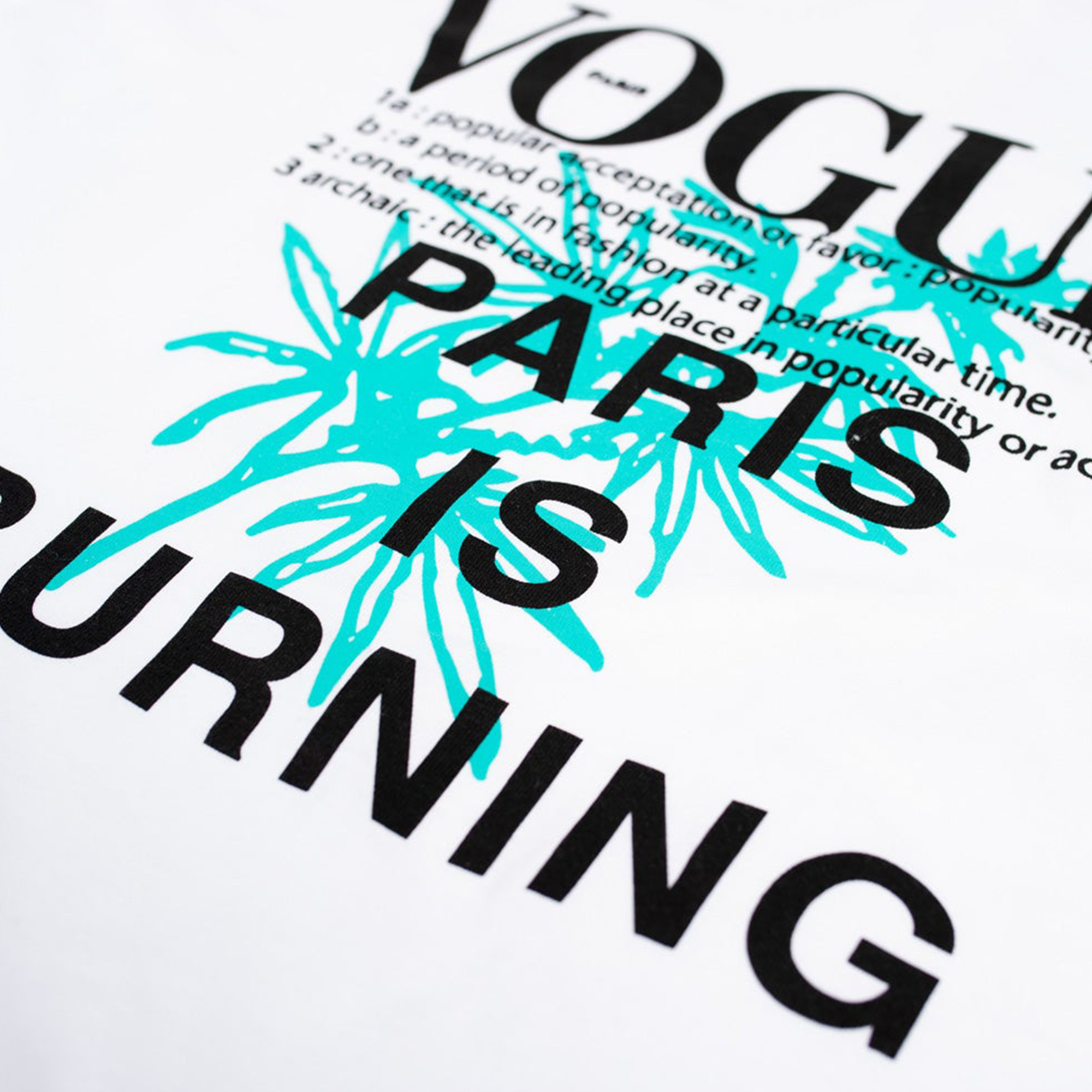 Paris is Burning