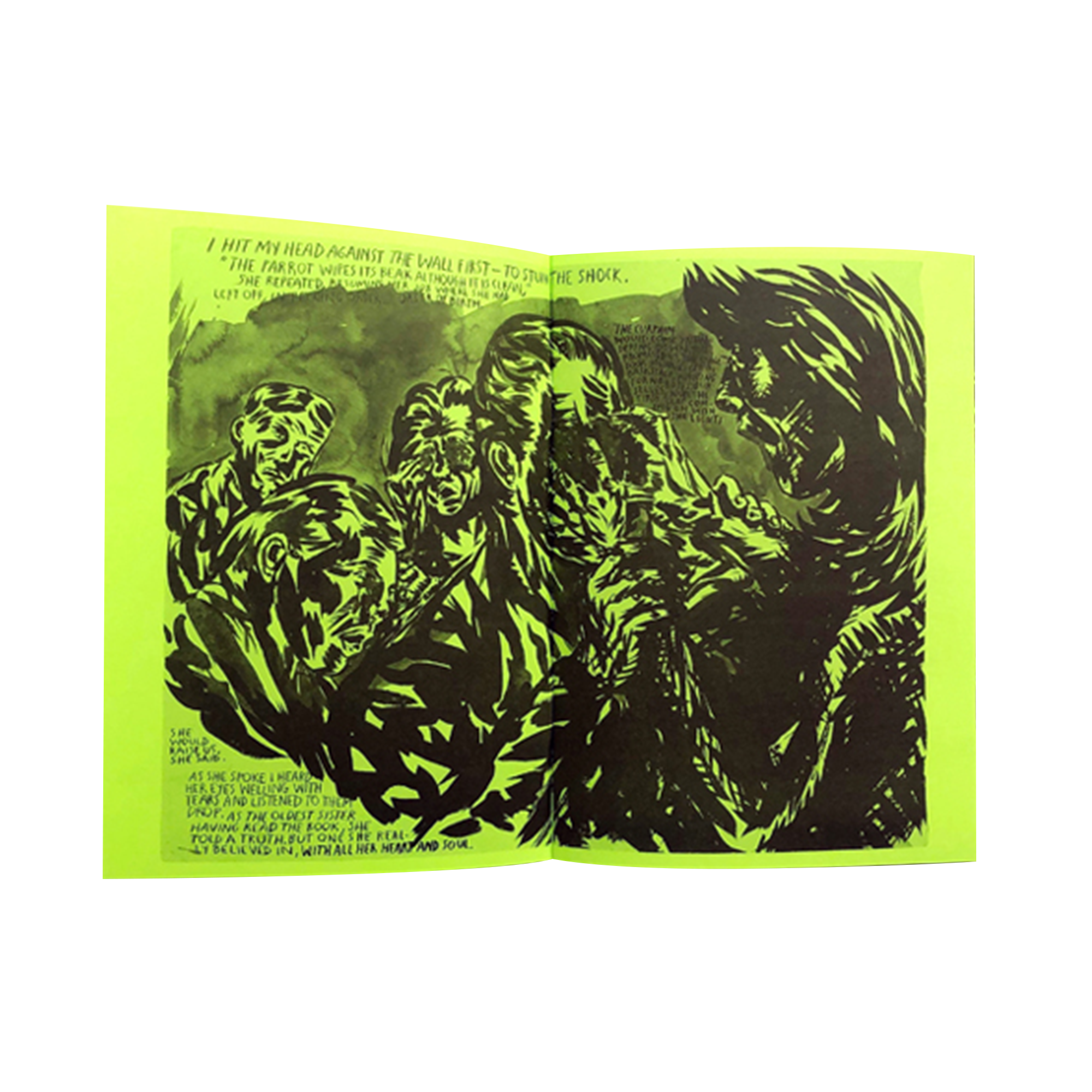 Raymond Pettibon - Selected Works From 1982 To 2011 – VERY SPECIAL