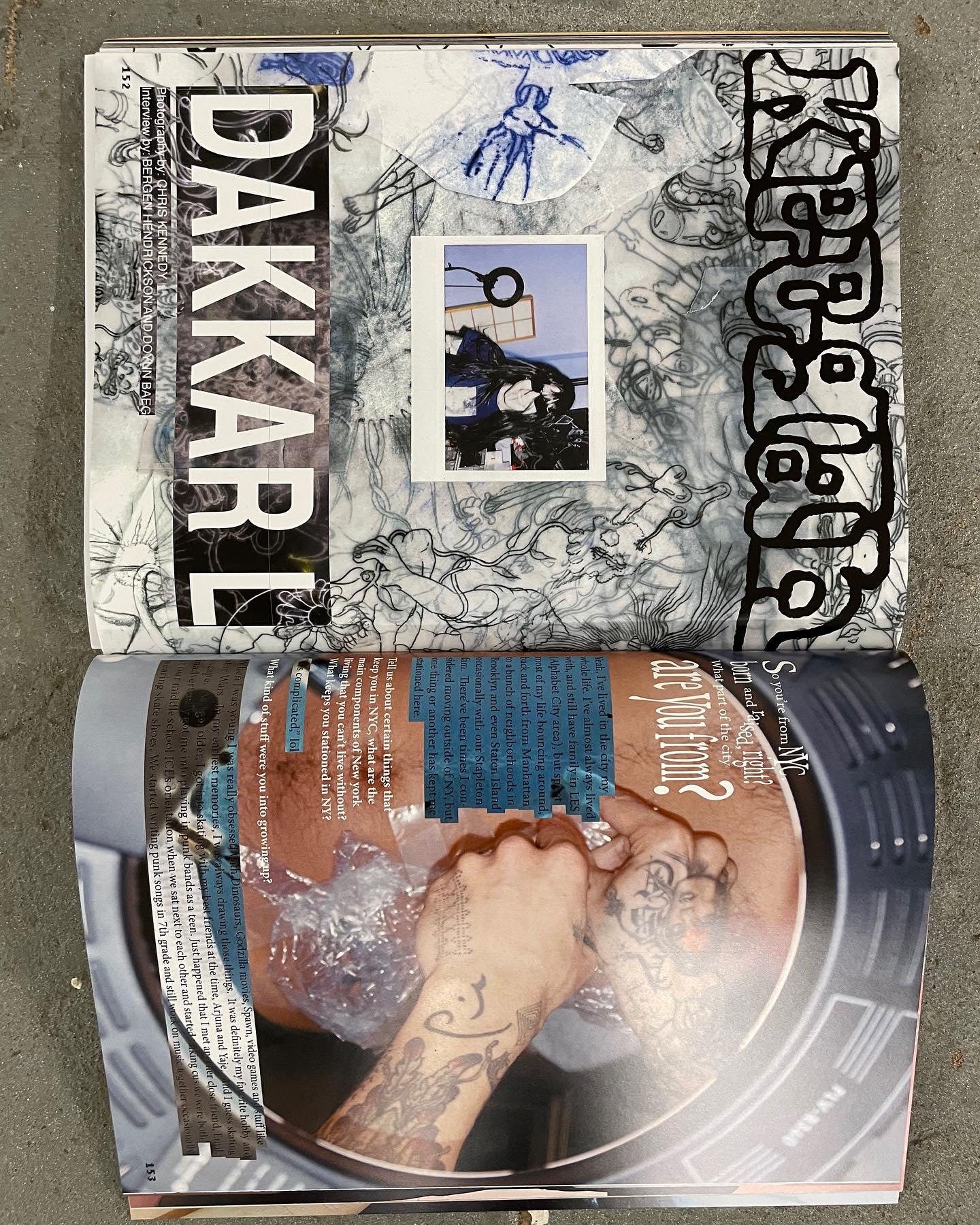 Lilypad #3 – VERY SPECIAL